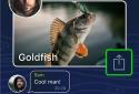 Fishing Forecast - TipTop App