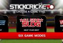 Stick Cricket Classic