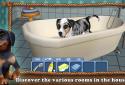 Dog World Premium - My Puppy