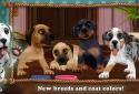 Dog World Premium - My Puppy