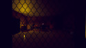 Captive