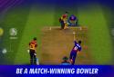 World Cricket Championship 3