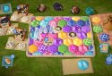Quilts and Cats of Calico