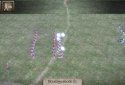 Muskets of America 2
