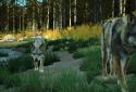 Way of the Hunter Wild America