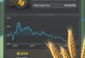 Farm Manager - 2025