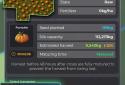 Farm Manager - 2025