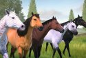 Rival Stars Horse Racing