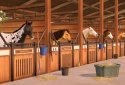 Rival Stars Horse Racing