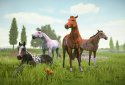 Rival Stars Horse Racing