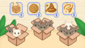 Boxed Cats