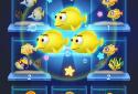 Fish Sort 3D: Match Puzzle