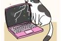 Cat Crime: Naughty Busted!