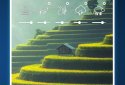 Music for Meditation