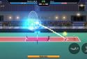 VolleyBall King