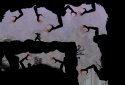 Ninja Arashi 2 Shadow's Return