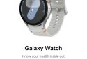 Galaxy Wearable
