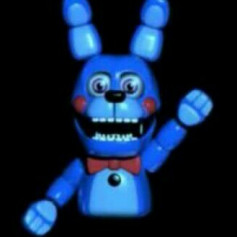 Bon BON