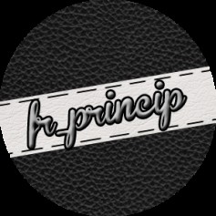 fr_princip