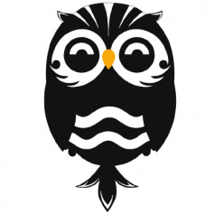 CleverOwl
