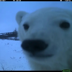 Дверной косяк