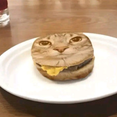 матвей сигма 2015