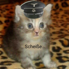 SS_Squad