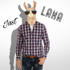 Just_Lama_