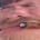 MyToasterDied_